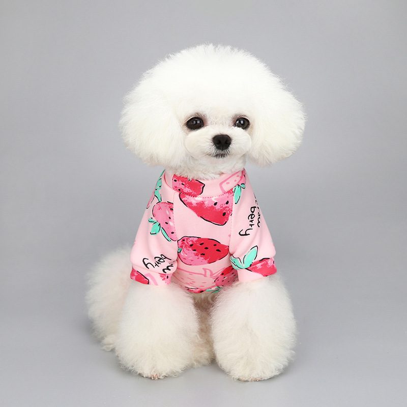 Pets Winter Sweater