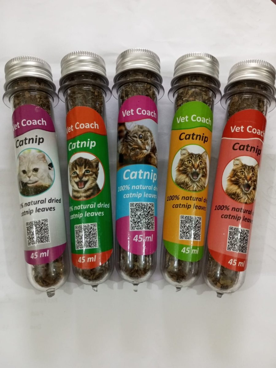 Vet Coach Catnip