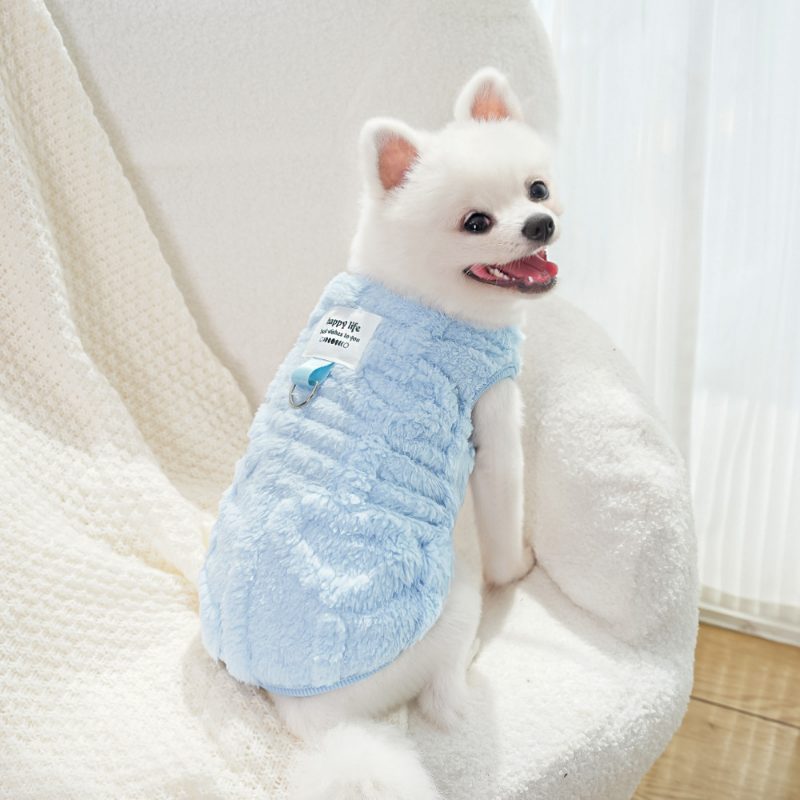Premium Winter Dress