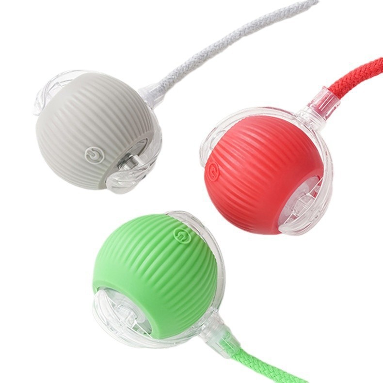 Electric Toy Ball for pets