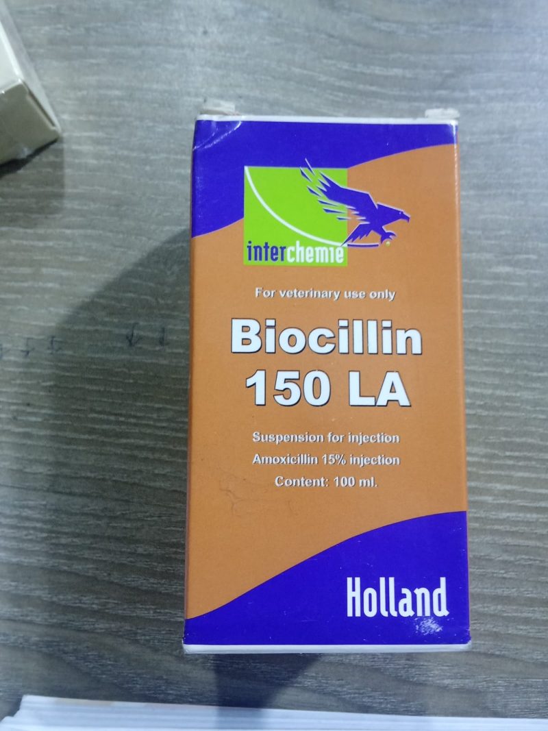 Biocillin LA Injection