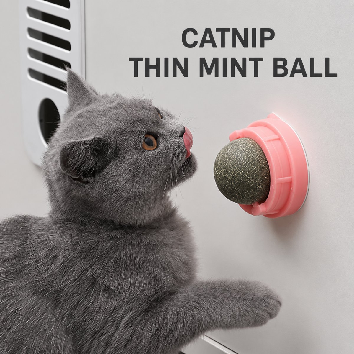 Catnip Ball Set